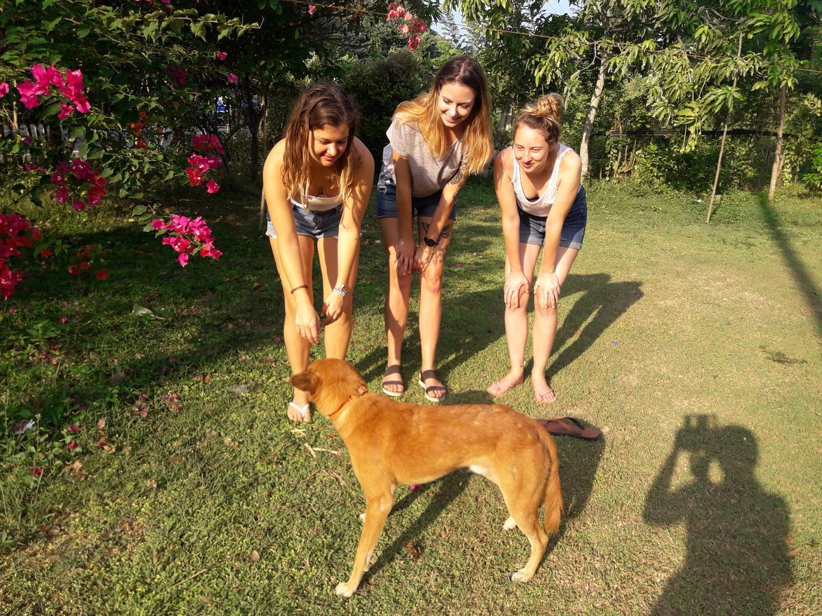 Colonial Surfing Villa Hostel & Home Stay Midigama East Exteriér fotografie