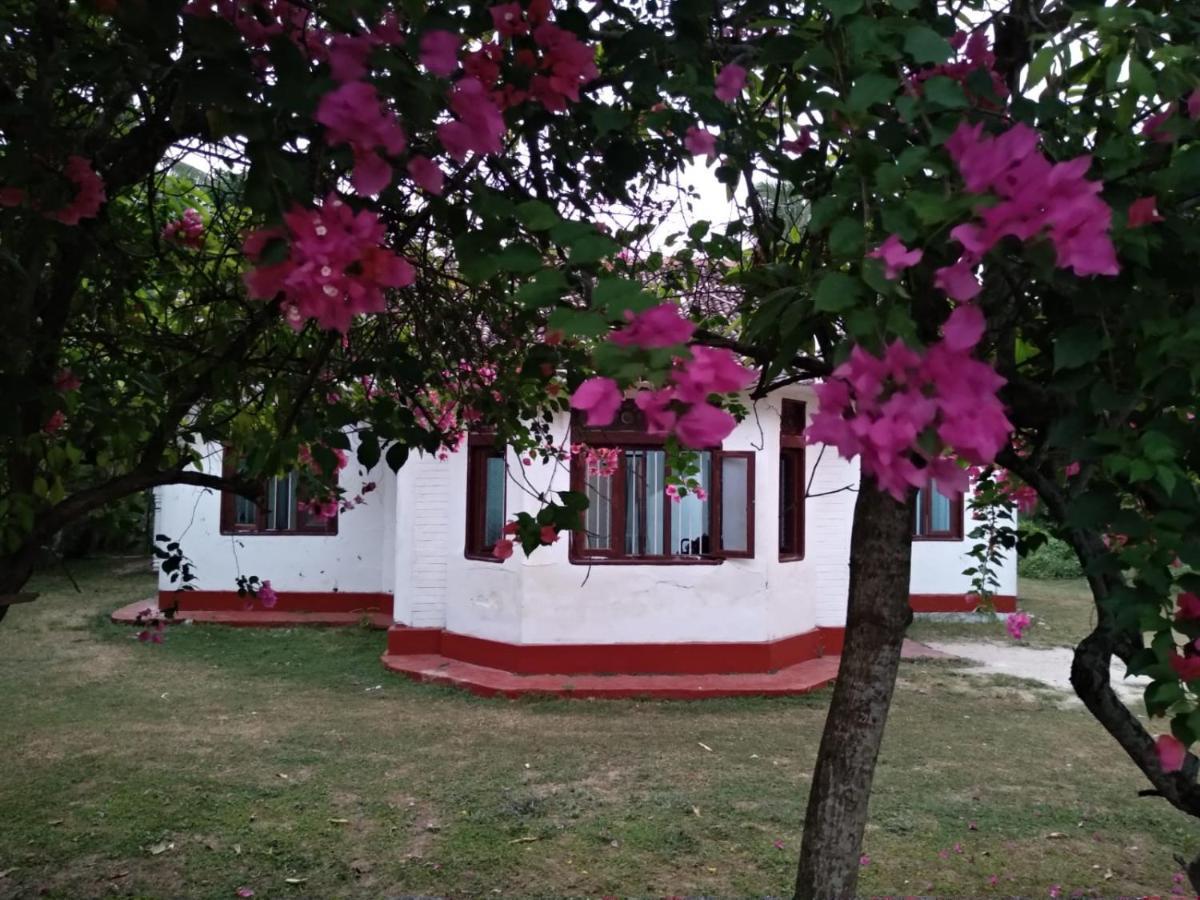 Colonial Surfing Villa Hostel & Home Stay Midigama East Exteriér fotografie